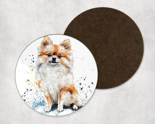 Pomeranian puppy dog - pomeranian,