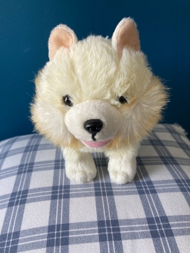 Poseable pomeranian puppy dog - pomeranian,