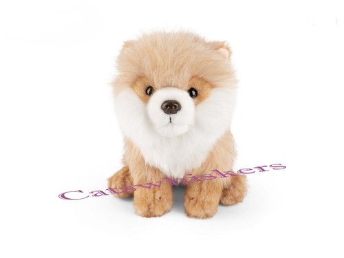 Sitting pomeranian puppy plush - puppy,