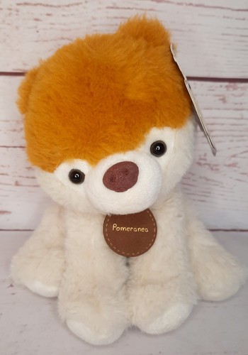 Cute pomeranian pomeranea - pomeranian,