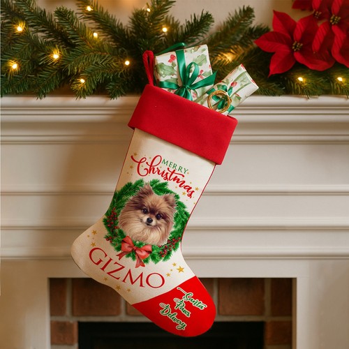 Personalised dog christmas - personalised,