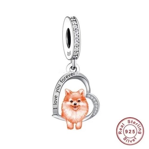 Pomeranian pom dwarf - pomeranian,