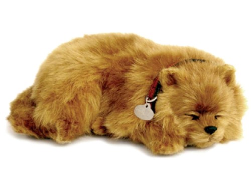 Perfect petzzz the original - perfect, ®