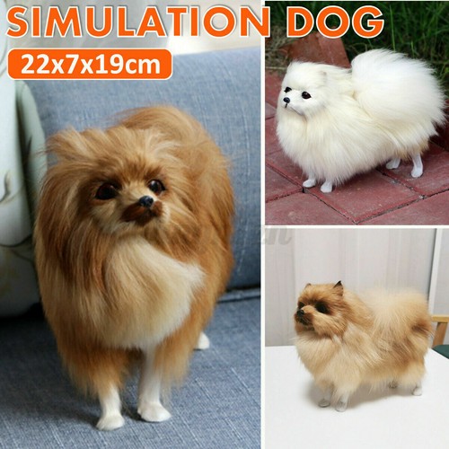 Realistic plush pomeranian dog - realistic,