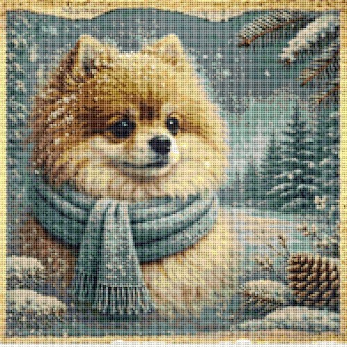 Pomeranian puppy dog comfort - puppy,