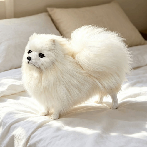 Realistic plush pomeranian dog - realistic,