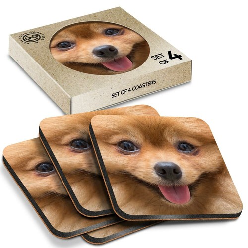 Boxed square coasters - square,