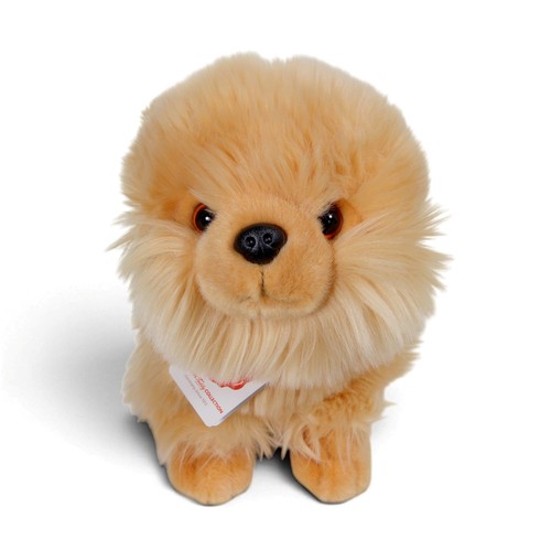 Teddy hermann pomeranian puppy - teddy,