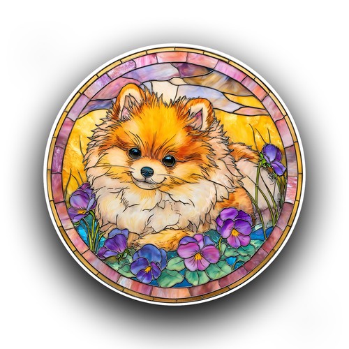 Pomeranian dog puppy - pomeranian,