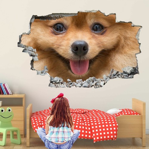 Pomeranian puppy dog wall - pomeranian,