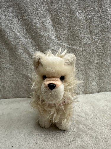 American girl pomeranian puppy - pomeranian,