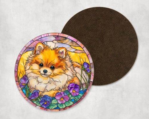 Cute pomeranian dog puppy - dog,