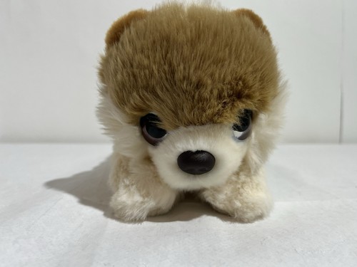 Keel toys pomeranian - keel,