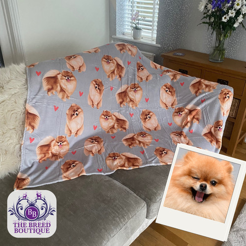 Pomeranian dog blanket soft - pomeranian,