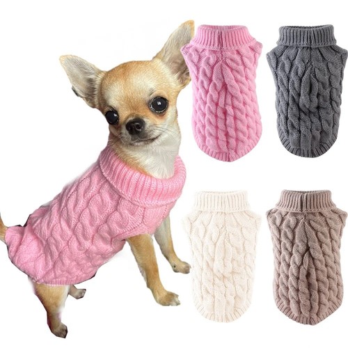 Small dog sweater chihuahua - dog,