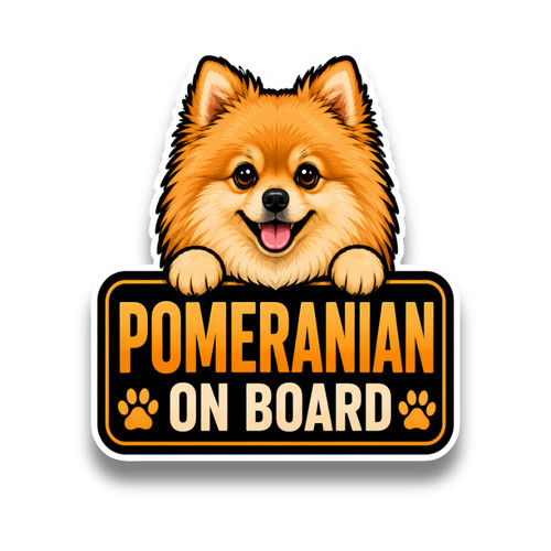 Cute pomeranian dog - dog, on
