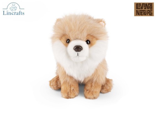 Pomeranian puppy plush - pomeranian,