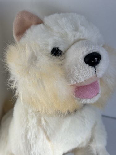 Our generation doll pomeranian - generation,