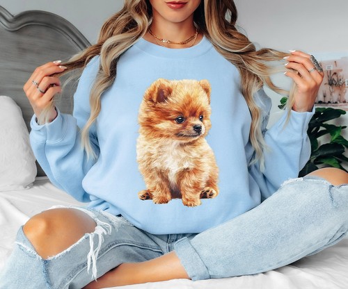 Adorable pomeranian puppy - adorable,