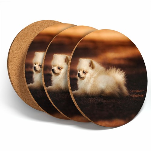 Set cute pomeranian puppy - pomeranian,