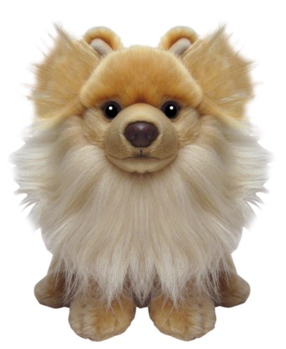 Pomeranian puppy plush soft - ,