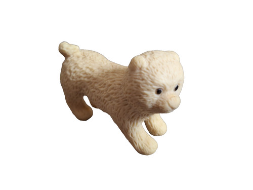 Pomeranian puppy textured - pomeranian,
