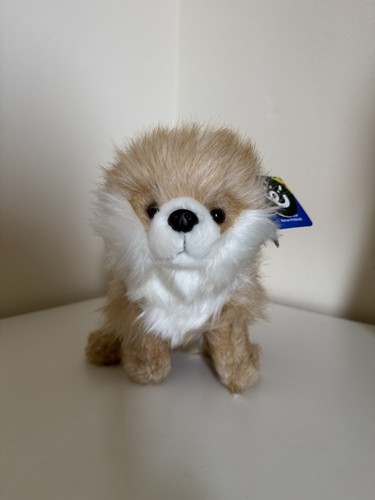 Pomeranian dog soft - soft, plush