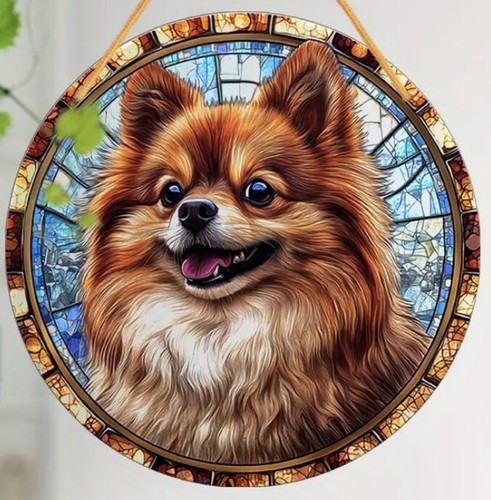 Sale pomeranian dog - ❤️,