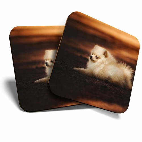 Coasters cute pomeranian - coasters,