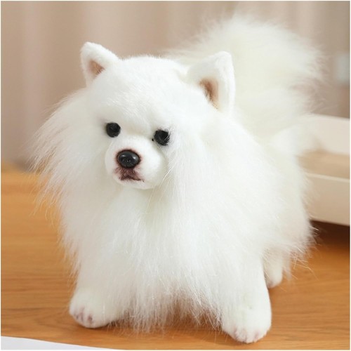 Soft pomeranian dog - soft, plush